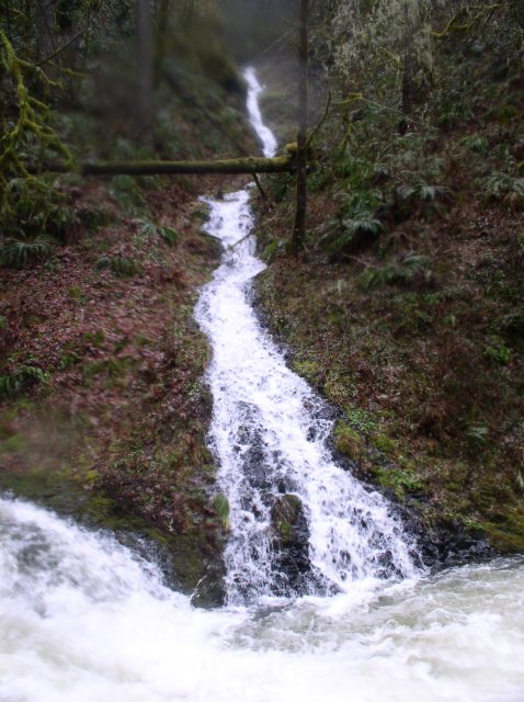 12.27.05 Triple Falls 100 